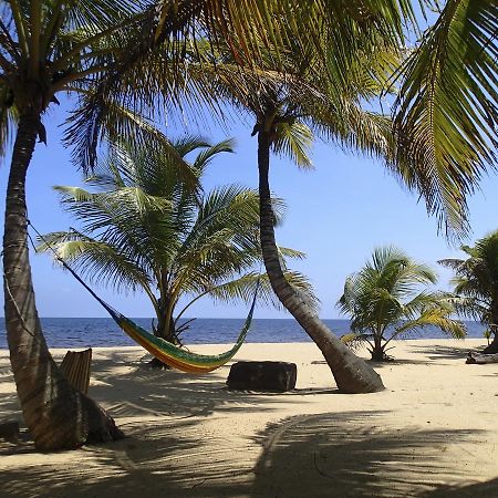 Sabal Beach Otel Monkey River Town Dış mekan fotoğraf