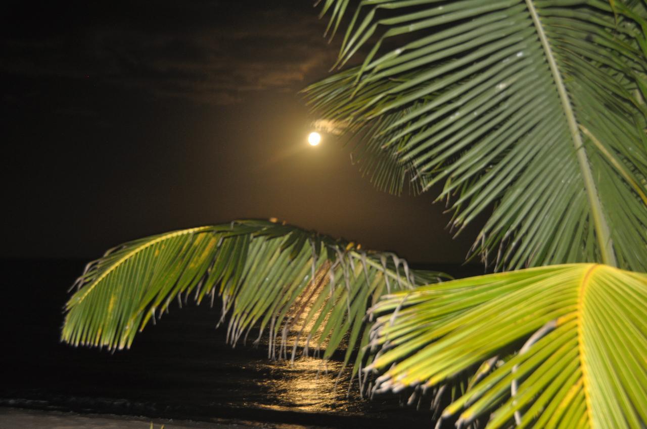 Sabal Beach Otel Monkey River Town Dış mekan fotoğraf