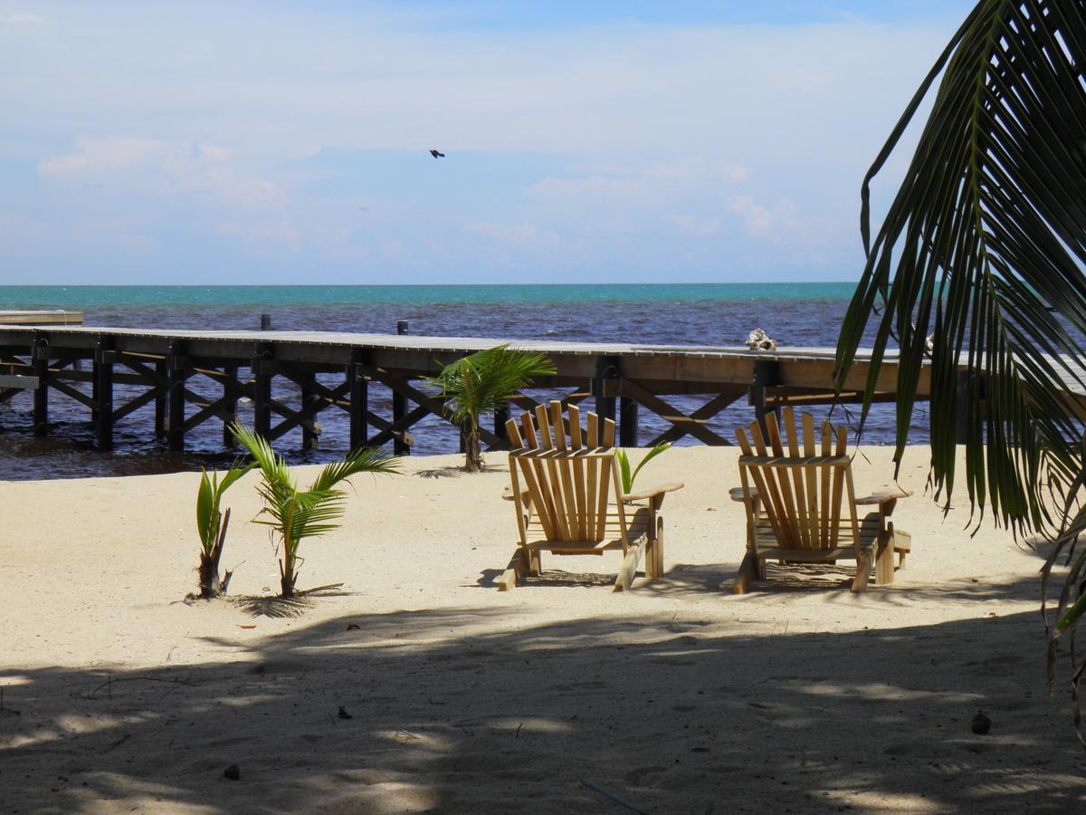 Sabal Beach Otel Monkey River Town Dış mekan fotoğraf
