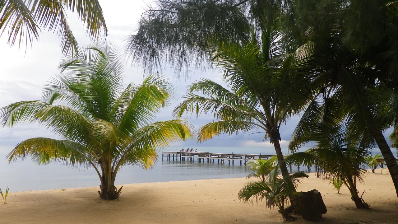 Sabal Beach Otel Monkey River Town Dış mekan fotoğraf